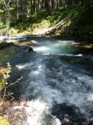 Summer '06 Sunriver 288 